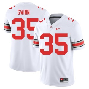 White Alumni College Football Jaystin Gwinn The Fighting Buckeyes Mens #35 Jersey 355419-501