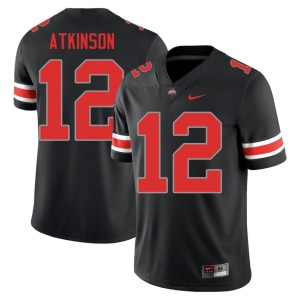 Blackout College Football The Fighting Buckeyes Men Beau Atkinson Alumni #12 Jerseys 624537-235