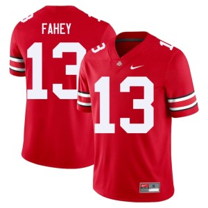 Scarlet #13 The Fighting Buckeyes College Football NCAA Men Luke Fahey Jersey 460192-507