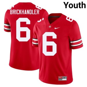 Scarlet #6 Buckeye Nation Eli Brickhandler 2025 College Football Youth Jerseys 321187-442