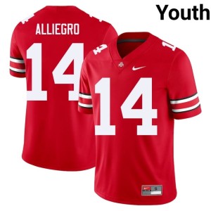 Scarlet OSU Youth Stitched Christian Alliegro #14 College Football Jerseys 718641-401