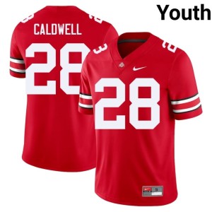Scarlet #28 Youth The Fighting Buckeyes Simeon Caldwell College Football Replica Jersey 186945-722